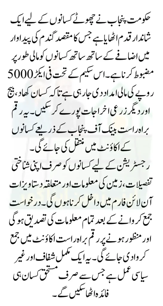 CM Punjab Wheat Support Program 2025