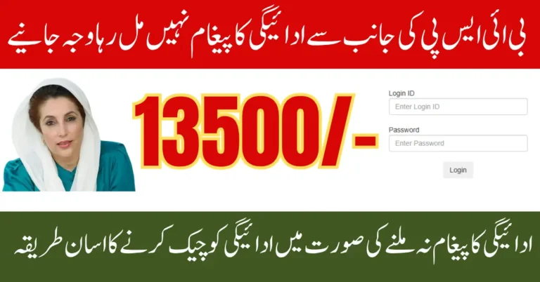 8171 BISP Payment Message Not Received Best Alternative To Check 13500 Via CNIC