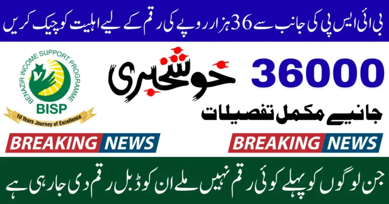 BISP 8171 July 2025 Payment Eligibility 36000 Using NADRA Verified CNIC And Registered Documents