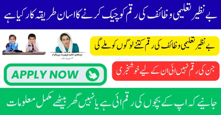 Bisp Taleemi Wazayf Payment Punjab Check Status Via Bfom Know Full Details 2025