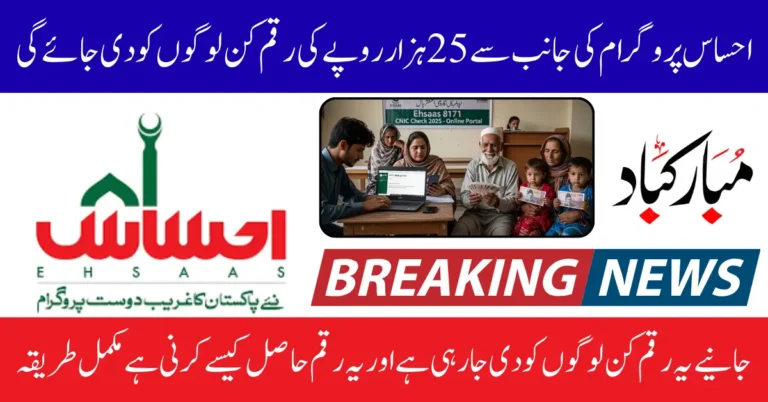 Ehsaas Program 25000 CNIC Check 2025 Online Via 8171 Web Portal Know Full Details Step By Step