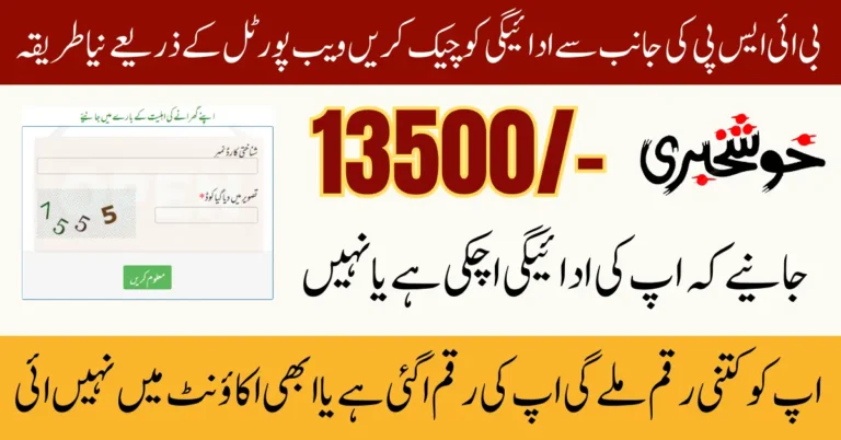 BISP 8171 Portal Re-Launch September 2025 Easy CNIC Verification For Pending Payment