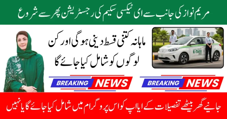 E Taxi Scheme 2025 Easy Monthly Installments Plan Announced Know Full Guide Step By Step