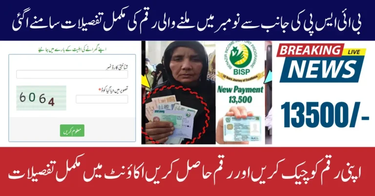 8171 November 2025 Update Verification System For Payment Widrawal Know Full Guide