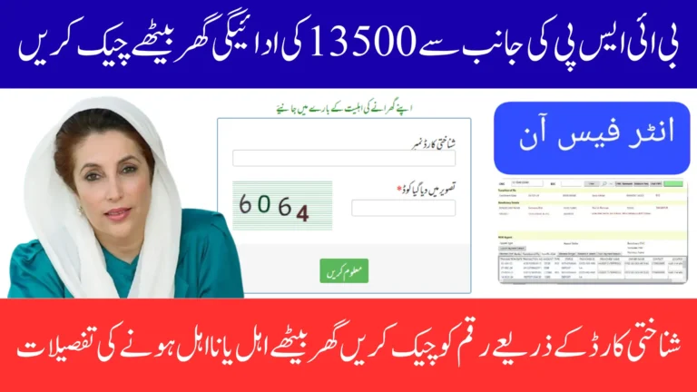 BISP 8171 Balance Check Using CNIC Through Web Portal And Validation Process Full Guide 2025