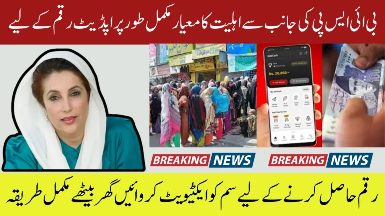 BISP Eligibility December Update For Wallet Payment Re-Verification 2025 Full Guide