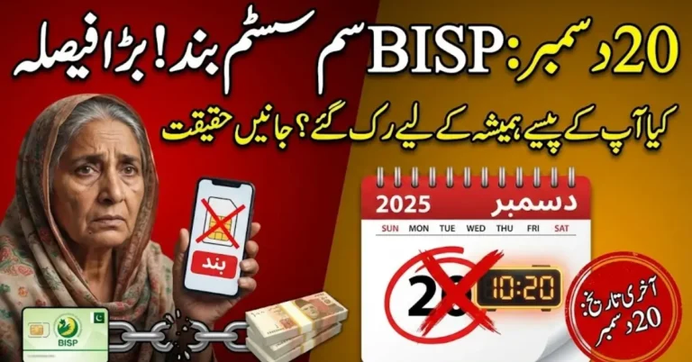 BISP Vault SIM Service Pausing After December 20 Future Depends on System Test