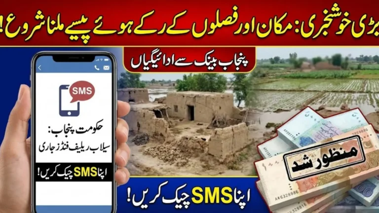 Punjab Flood Relief Update: Delayed Housing and Crop Payments Finally Released